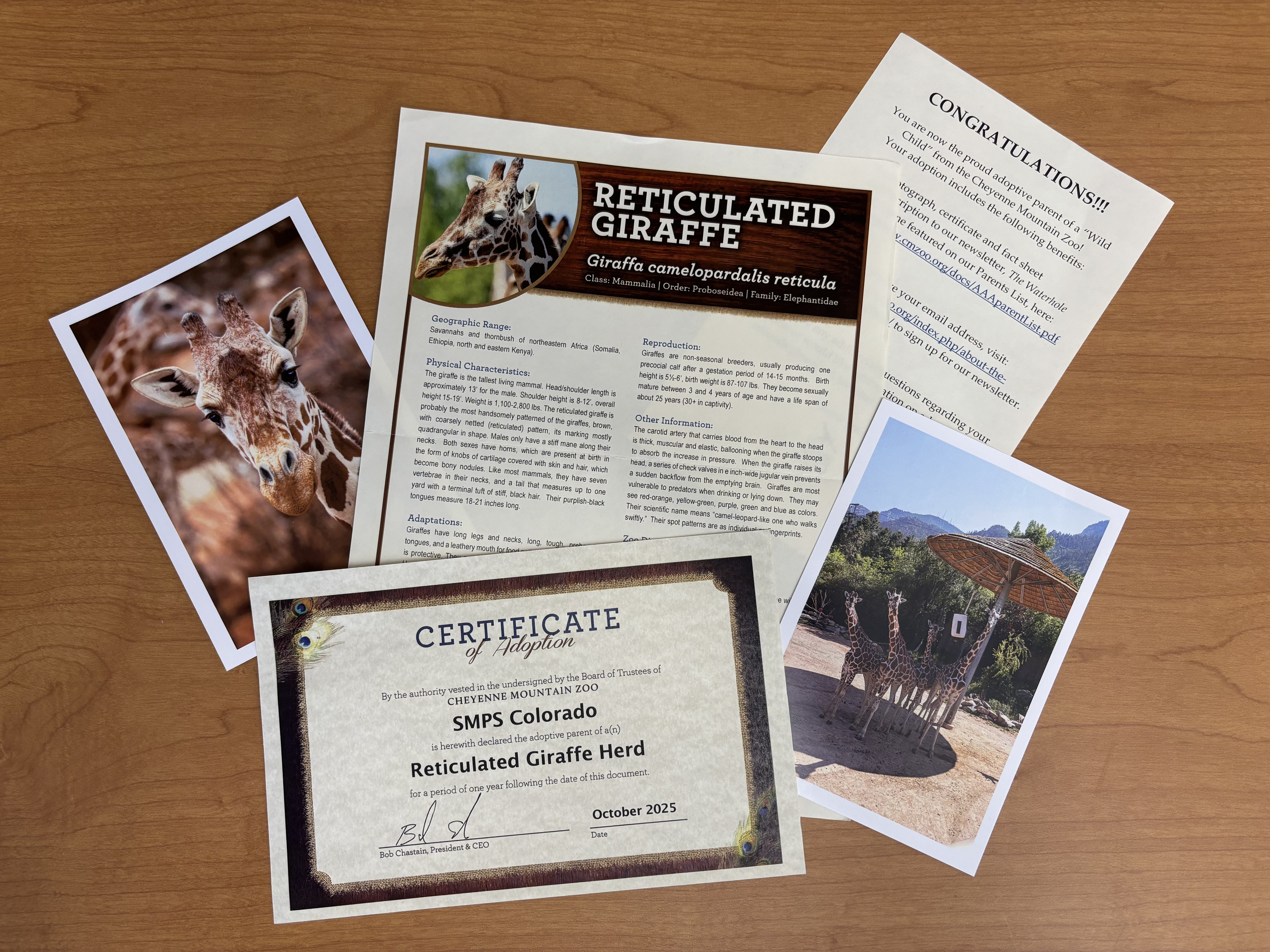 Collage of Griaffe Herd Adoption